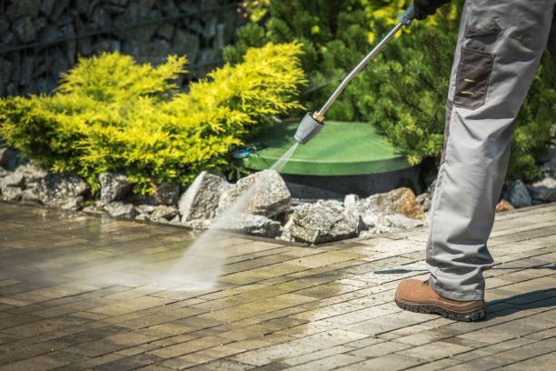 Best Winterizing Services  in Franklin, NJ