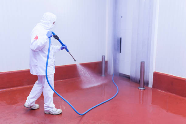 Best Boat and Dock Cleaning  in Franklin, NJ