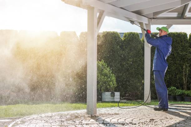 Best Pre-Holiday Cleaning  in Franklin, NJ